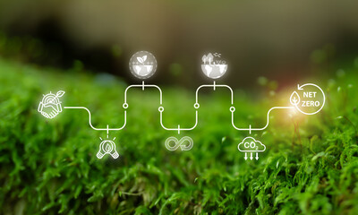 Journey to Net Zero,  Sustainability concept. The stages of achieving net zero emissions, featuring icons representing sustainability, renewable energy, circular economy and carbon reduction.