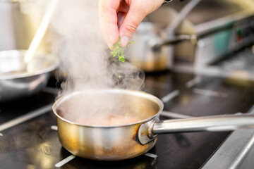 A chef's hand sprinkles fresh herbs into a steaming saucepan on a stovetop, showcasing the culinary process and the importance of seasoning in food preparation