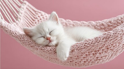 A white kitten sleeping gently on a pastel pink hammock, wrapped in softness and charm