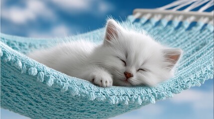 A delicate white kitten on a pastel blue hammock, evoking warmth and sweetness