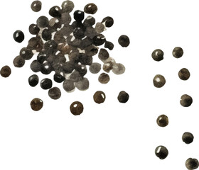 Watercolor painted black pepper. Hand drawn fresh food design element isolated on white background.