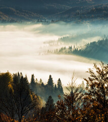Obraz premium incredible autumn view, wonderful mountains scene, Carpathian mountains, place between Skole and Slavske resort, lviv region, Ukraine, Europe