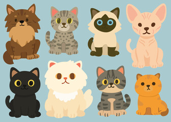 A flat-style collection of cute cats in various breeds including Siamese, Persian, Sphynx, Maine Coon, tabby, and black cat.