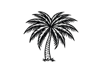 Fototapeta premium Silhouette of palm isolated on a white background