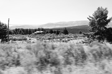 foto hecha desde el coche