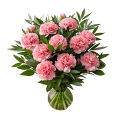 Beautiful Pink Carnations in a Vase, Perfect for a Gift
