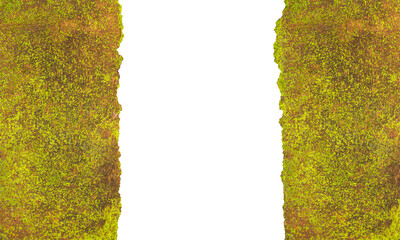 Realistic Weathered Clay Red Brick Wall Texture with Moss and Fungi. Ideal for Creative Project or Design.