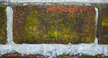 Realistic Weathered Clay Red Brick Wall Texture with Moss and Fungi. Ideal for Creative Project or Design.
