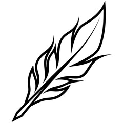 Obraz premium feather vector illustration