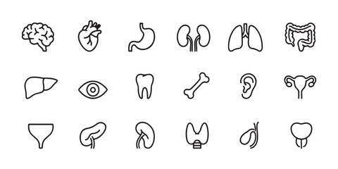 Medical Organs Icon Set - Human Anatomy Vector Illustration with Brain, Heart, Lungs, Liver, Stomach, Kidneys, Intestines, Bladder, Uterus, Spleen, Thyroid, Eye, Tooth, Bone, Ear, Testicle, Prostate