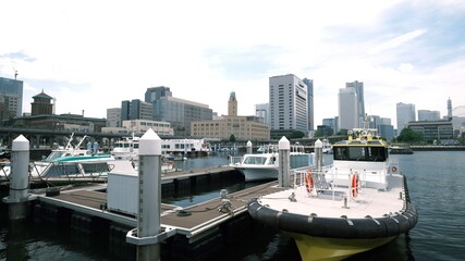 skyscrapers in yokohama city