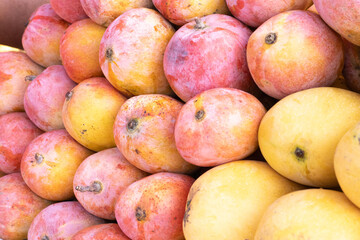 Full frame shot of the Senthoora mango or Sindhura mango sold by the road side vendors in the early morning