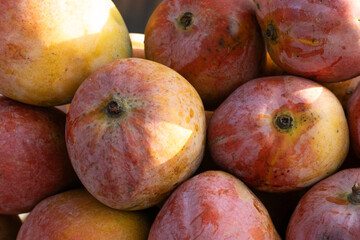 Full frame shot of the Senthoora mango or Sindhura mango sold by the road side vendors in the early morning