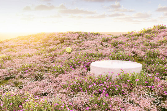 Natural field scene with podium