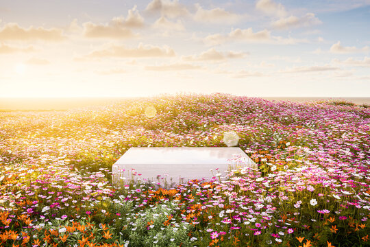 Natural field scene with podium