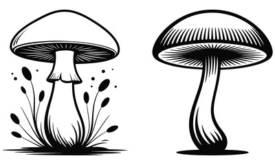 vector illustration of mushroom