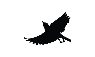 Flying Altamira oriole bird Silhouette Design  And Vector Illustration. 