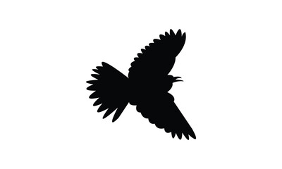 Flying Altamira oriole bird Silhouette Design  And Vector Illustration. 