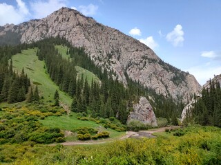Komirshi Gorge in Kazakhstan – Breathtaking Summer Landscape with Lush Greenery and Mountain Serenity.