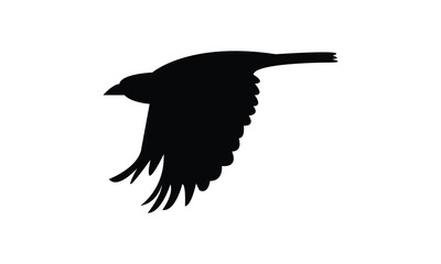 Flying Altamira oriole bird Silhouette Design  And Vector Illustration. 