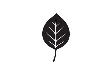 Leaf silhouette on white background.01