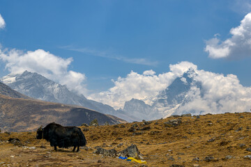 Ama Dablan en Nepal