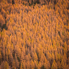 autumn in the mountains