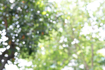 Blurred natural green leaves with bokeh background