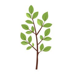 Fototapeta premium Simple flat 2D icon licorice plant isolated on transparent background, vector, flat design, animation design, vector, flat design, animation design, simple flat 2D icon, minimalist design, clipart