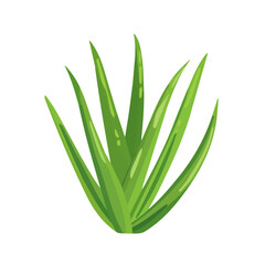 My Simple flat 2D aloe vera plant icon on a transparent background, high-resolution vector illustration, minimalist clipart, suitable for print and digital design, clipart icon set	