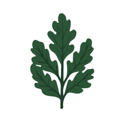 My Simple flat 2D kale leaves icon on a transparent background, high-resolution vector illustration, minimalist clipart, suitable for print and digital design, clipart icon set	
