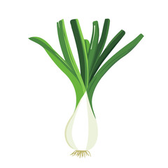My Simple flat 2D whole leek icon on a transparent background, high-resolution vector illustration, minimalist clipart, suitable for print and digital design, clipart icon set	