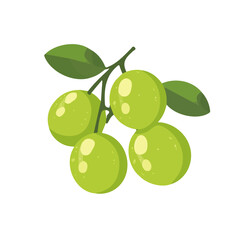 My Simple flat 2D longans group icon on a transparent background, high-resolution vector illustration, minimalist clipart, suitable for print and digital design, clipart icon set	