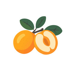 My Simple flat 2D whole loquat icon on a transparent background, high-resolution vector illustration, minimalist clipart, suitable for print and digital design, clipart icon set