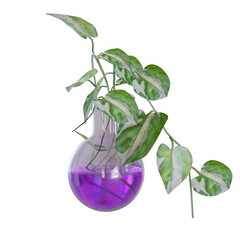3D rendered magic potion bottle with a plant isolated on transparent background