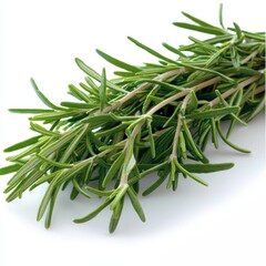 Fototapeta premium Fresh rosemary herb, perfect for cooking and enhancing flavors.