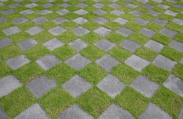 Checkered pattern of green grass and cement tiled floor