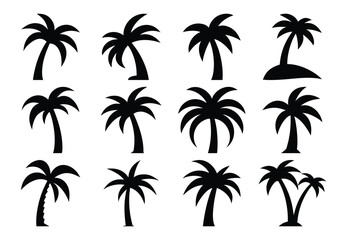 set of palm trees