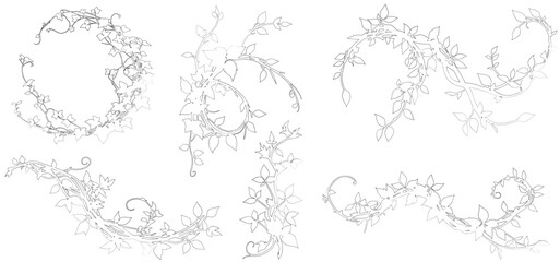 Jungle liana vine branches outline style vector