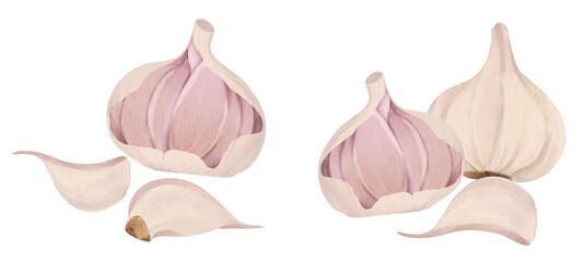 Garlic Spice Collection Illustration, Food Culinary Design