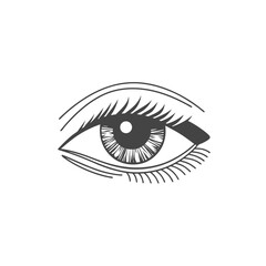 vector illustration of a female eye