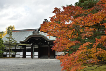 秋の京都仙洞御所　御車寄(京都市上京区)