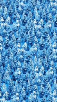 Snowy pine tree forest pattern