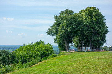 Summer. City park, landscape.