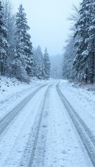 Obraz premium Snowy road to forest