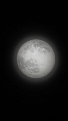 Obraz premium Full moon