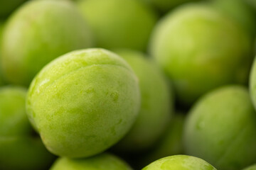 群馬県産の大粒の青梅