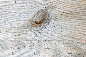Wooden background. The picture shows a background made of an old cracked wooden board, which looks very expressive and authentic.