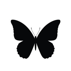 Elegant black butterfly silhouette design