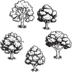 Set of Hand-Drawn Trees: Diverse Sketch Collection